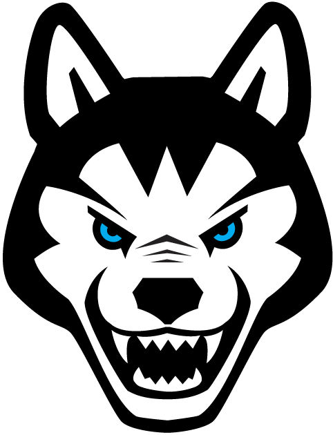 Northeastern Huskies 2001-2006 Alternate Logo diy fabric transfer
